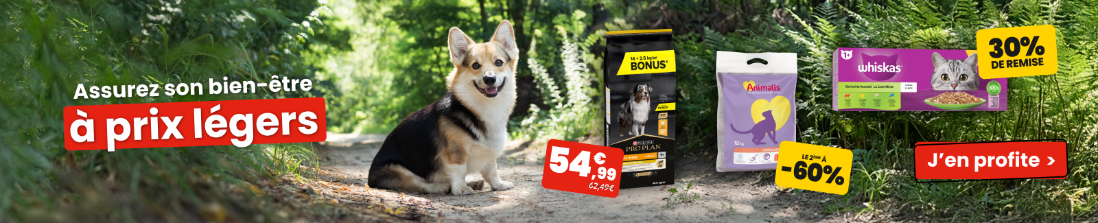 Assurez son bien-&ecirc;tre &agrave; prix l&eacute;gers