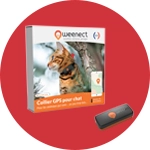 Accessoires chat
