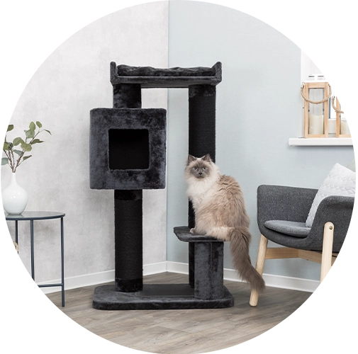 Arbre à chat pour grand chat