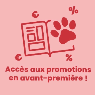 Accès au promotion en avant première