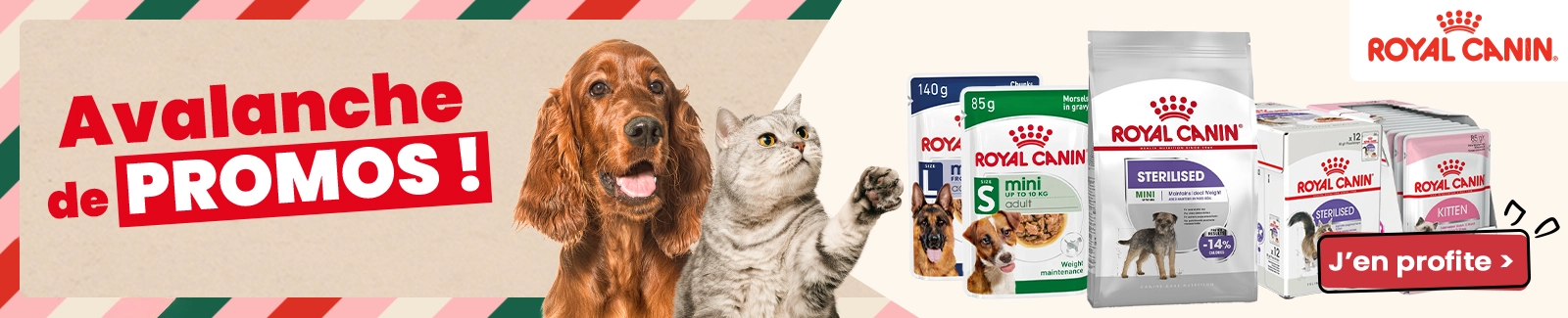 Royal Canin