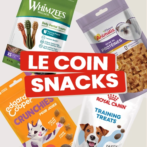 Le coin snacks
