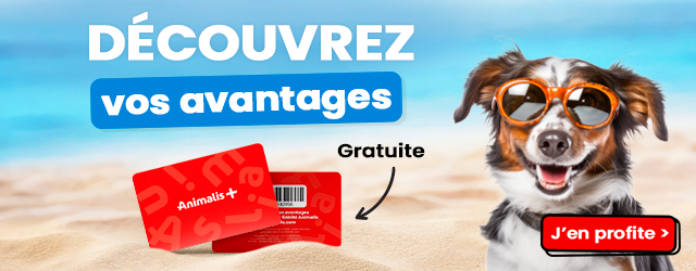 Carte Plus