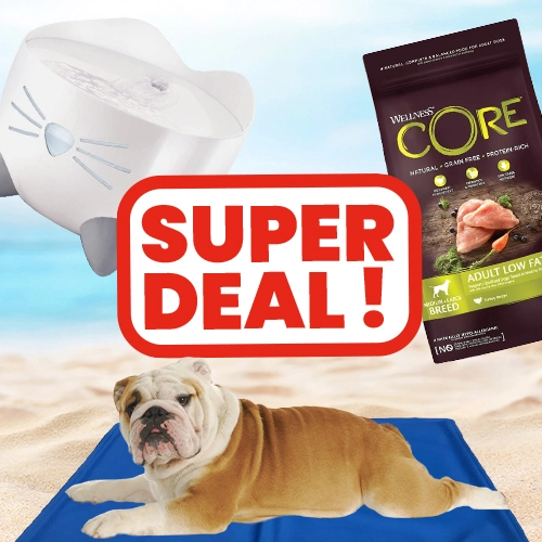 Super Deal