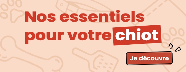  Boutique du chiot