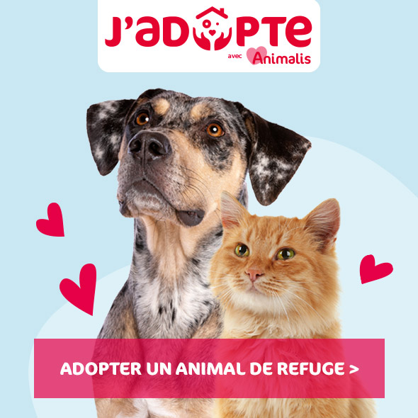 J'adopte J'adopte