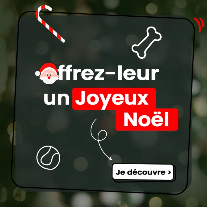 Joyeux noel avec Animalis