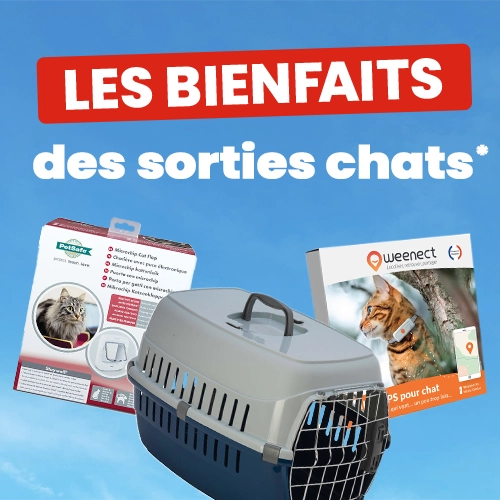 Kit Chiots