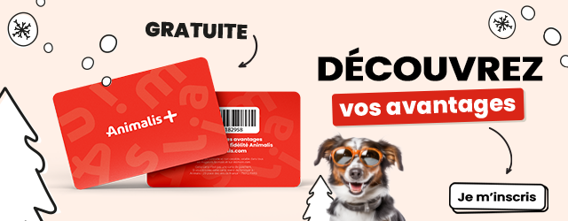 Carte Plus