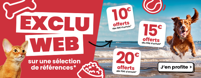 Exclu Web