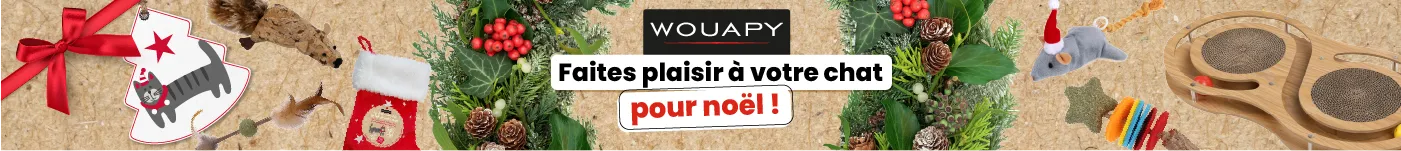 Wouapy