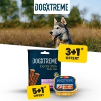 Banni&egrave;re Dogxtreme