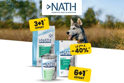 Banni&egrave;re Nath