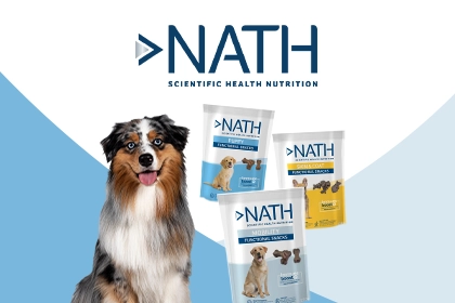 Banni&egrave;re Nath Chien