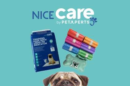 Banni&egrave;re Nice Care Chien