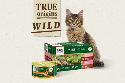 Banni&egrave;re True Origins P&acirc;t&eacute;es Chats