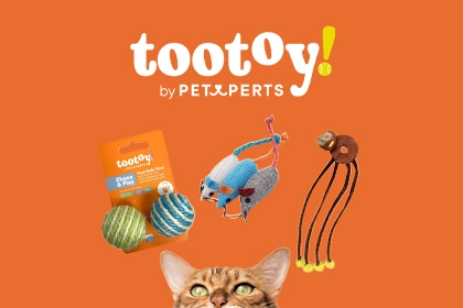 Banni&egrave;re Tootoy Chats