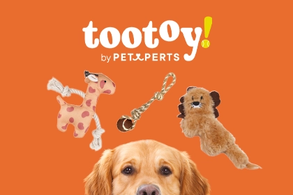 Banni&egrave;re Tootoy