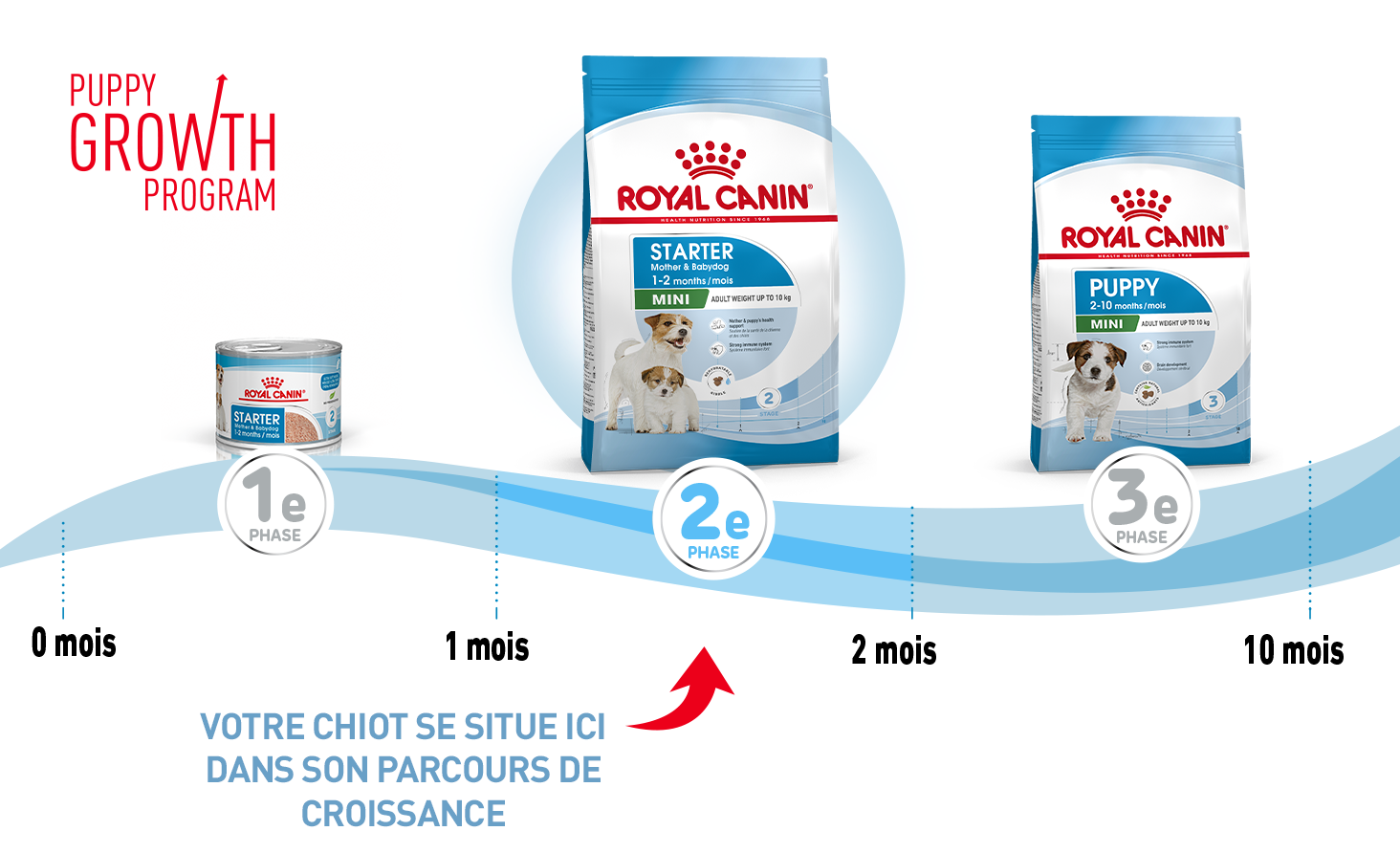 CroquettesMiniStartrer