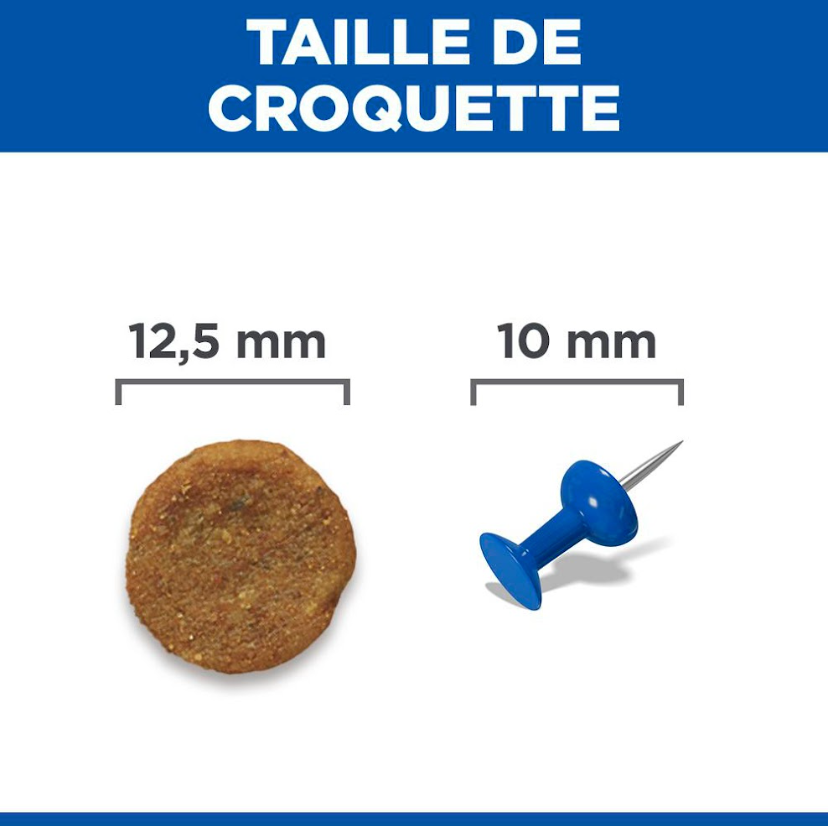 HILLS