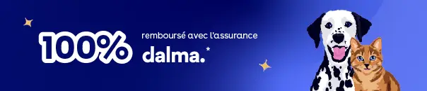 Bannière promotionnelle