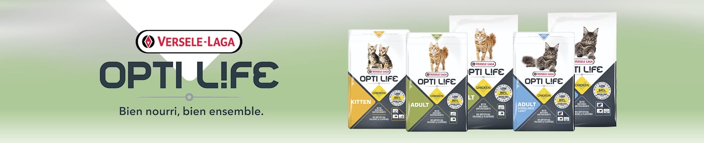 OPTILIFE_Chaton