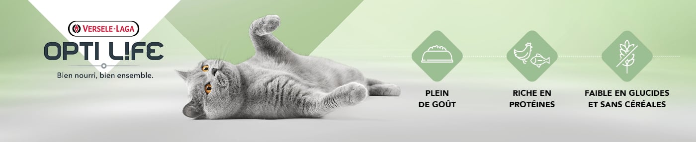 OPTILIFE_Chaton