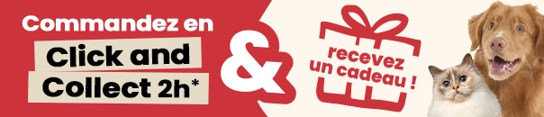 Banni&egrave;re promotionnelle