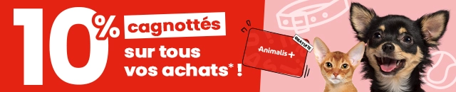 Bannière promotionnelle