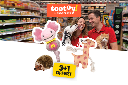 Banni&egrave;re Tootoy!