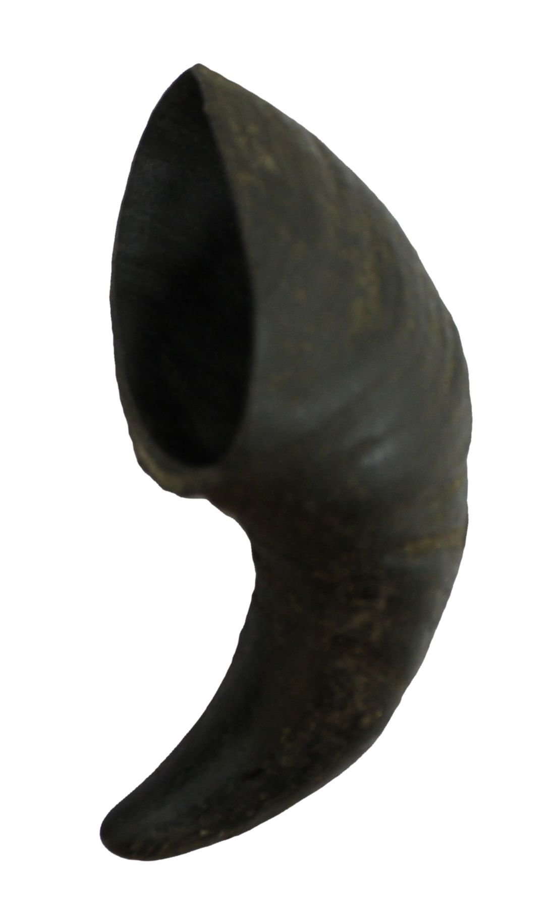 Bubimex Corne de buffle S