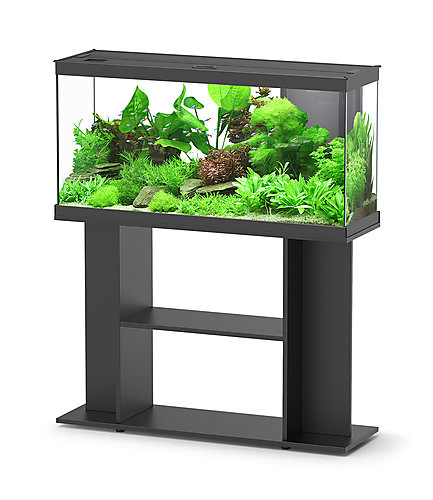 Aquadisio - Aquarium Alto 100cm - Noir