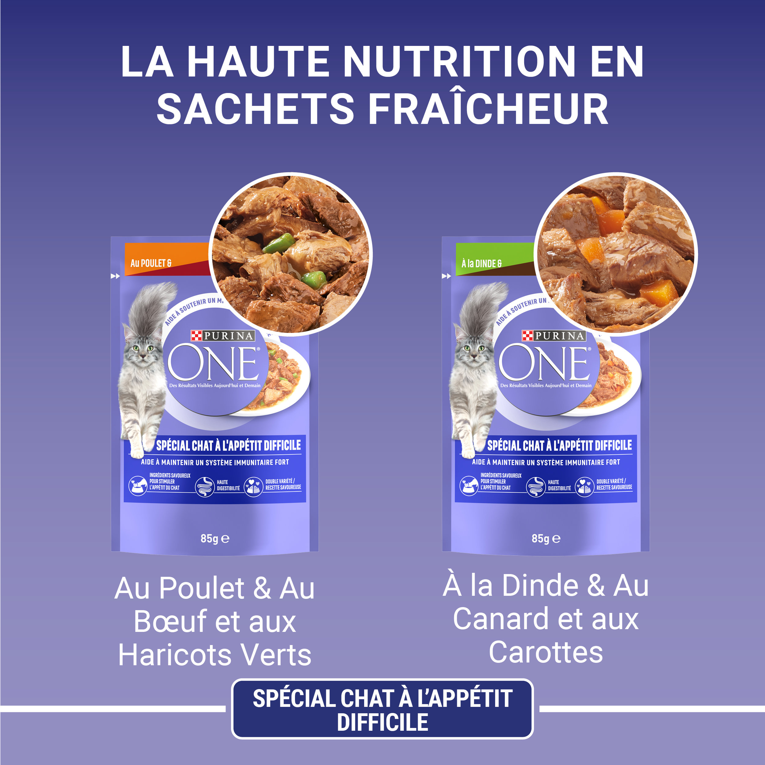 Pâtée Pour Chat Adulte Appétit Difficile PURINA ONE - 4 Sachets Sauce (poulet, Bœuf, Dinde, Canard) - 85g Chacun