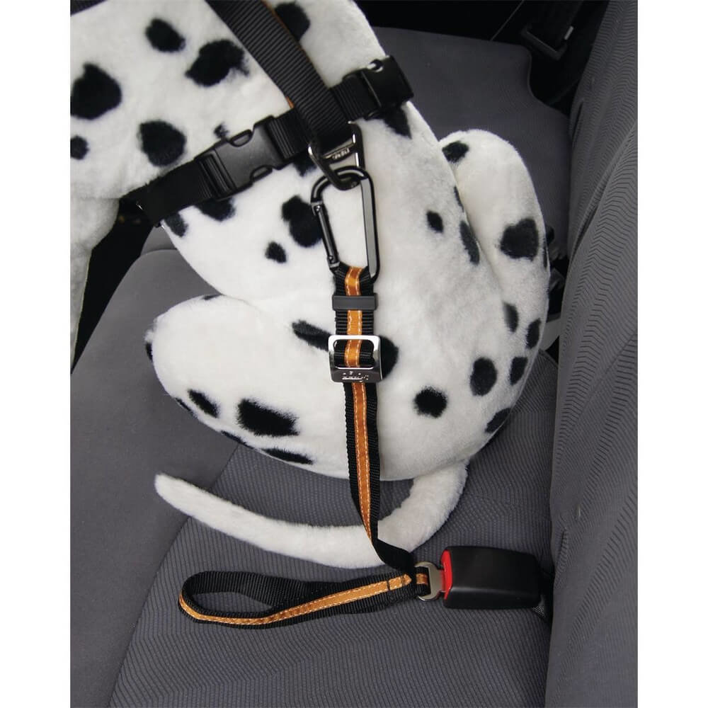 Ceinture De Sécurité Pour Chien En Voiture - Laisse D'Extension Anti-Mâchonnement, Corde Acier Revêtue PVC - 60 Cm - 9