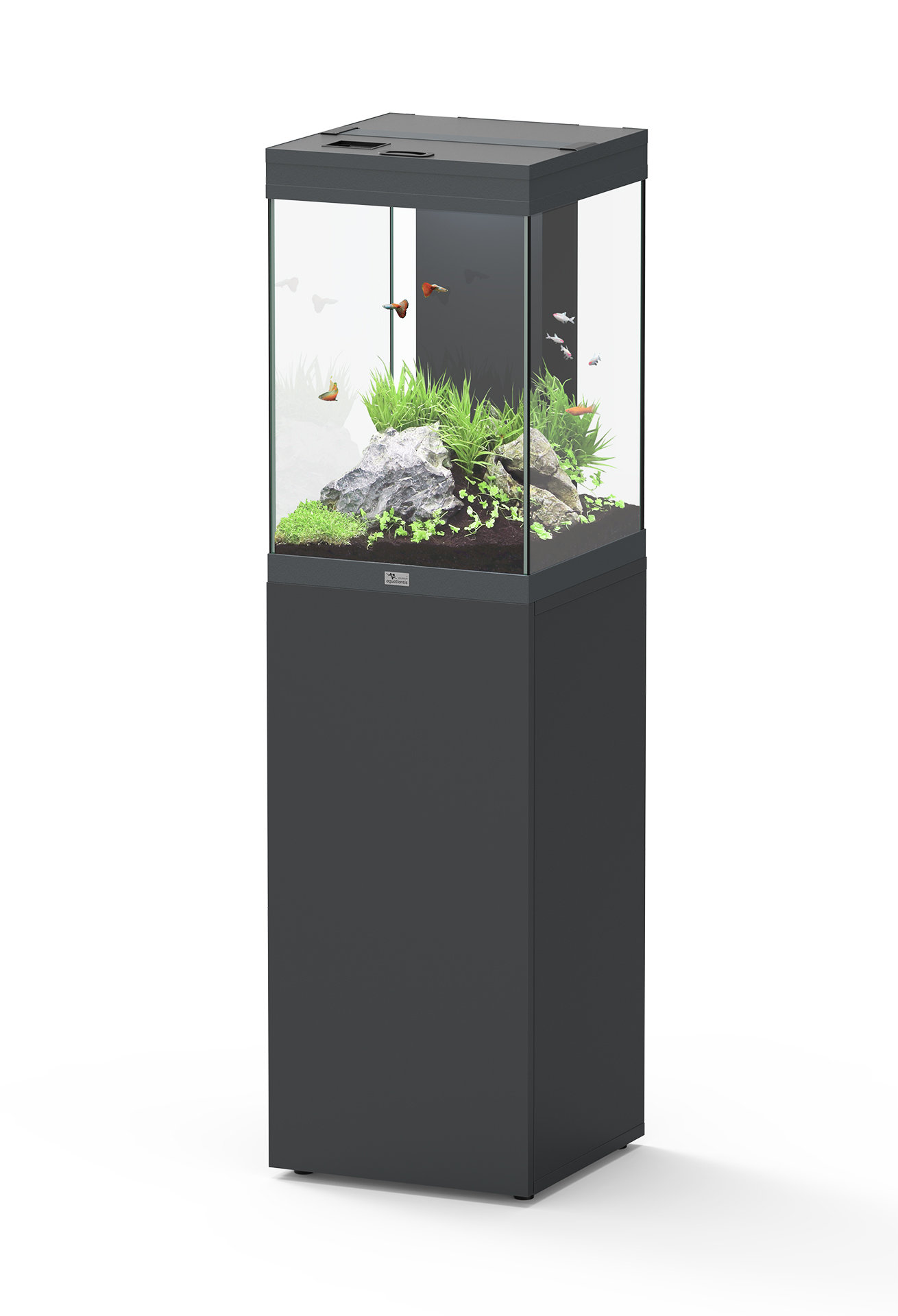Aquatlantis - Aquarium + Meuble Led équipé AQUA TOWER 96 Anthracite - 96L