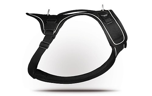 Curli - Harnais Belka Air-Mesh en Noir pour Chiens - S
