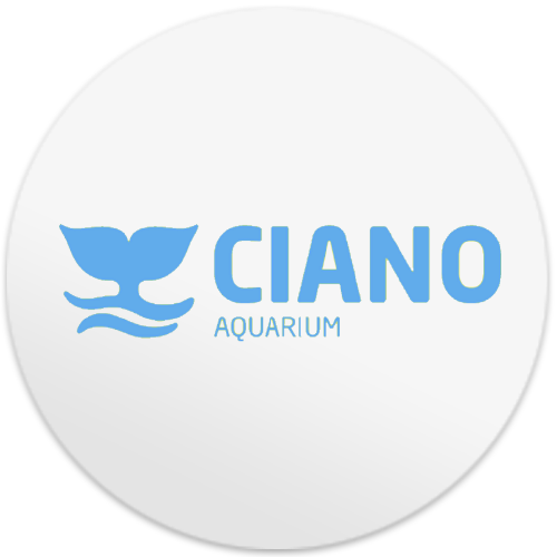 Ciano