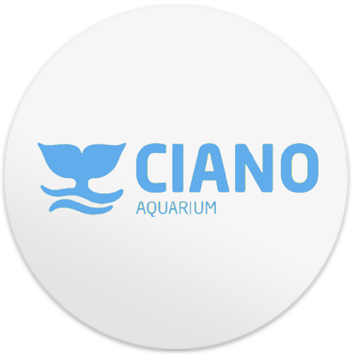 Ciano